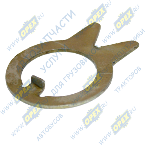 Ф80-3405103 Шайба стопорная ф21х30х1,2 с усами С/И (сталь), МТЗ РУП